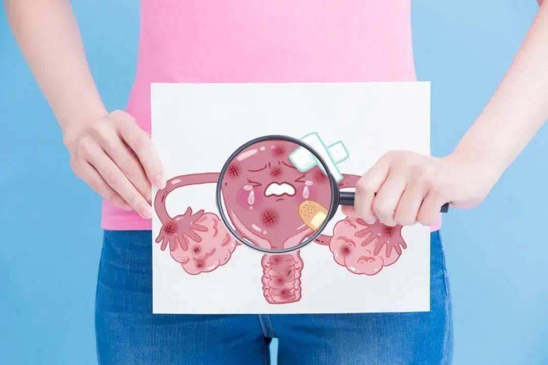 为什么在试管婴儿中需要调节子宫内膜？
