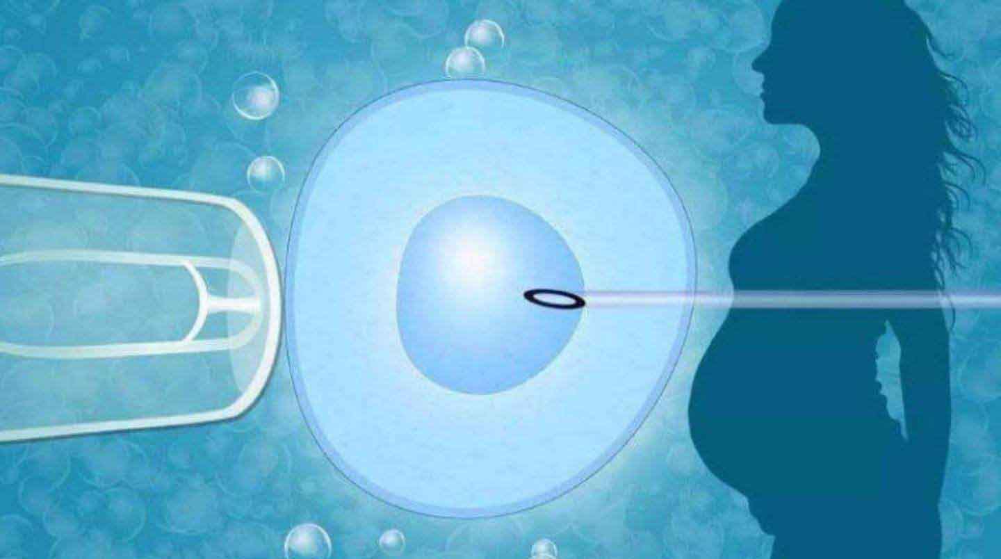 郑州供卵生子：2023年用供体卵子做体外受精有什么要求？有细节吗？