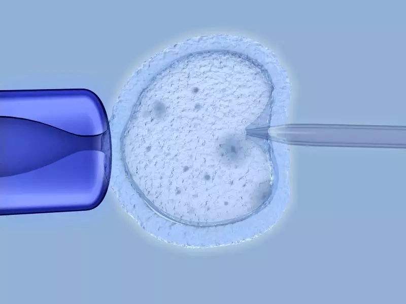 南通助孕中介官网：苏州大学附属医院试管婴儿指南，基本信息和成功率。